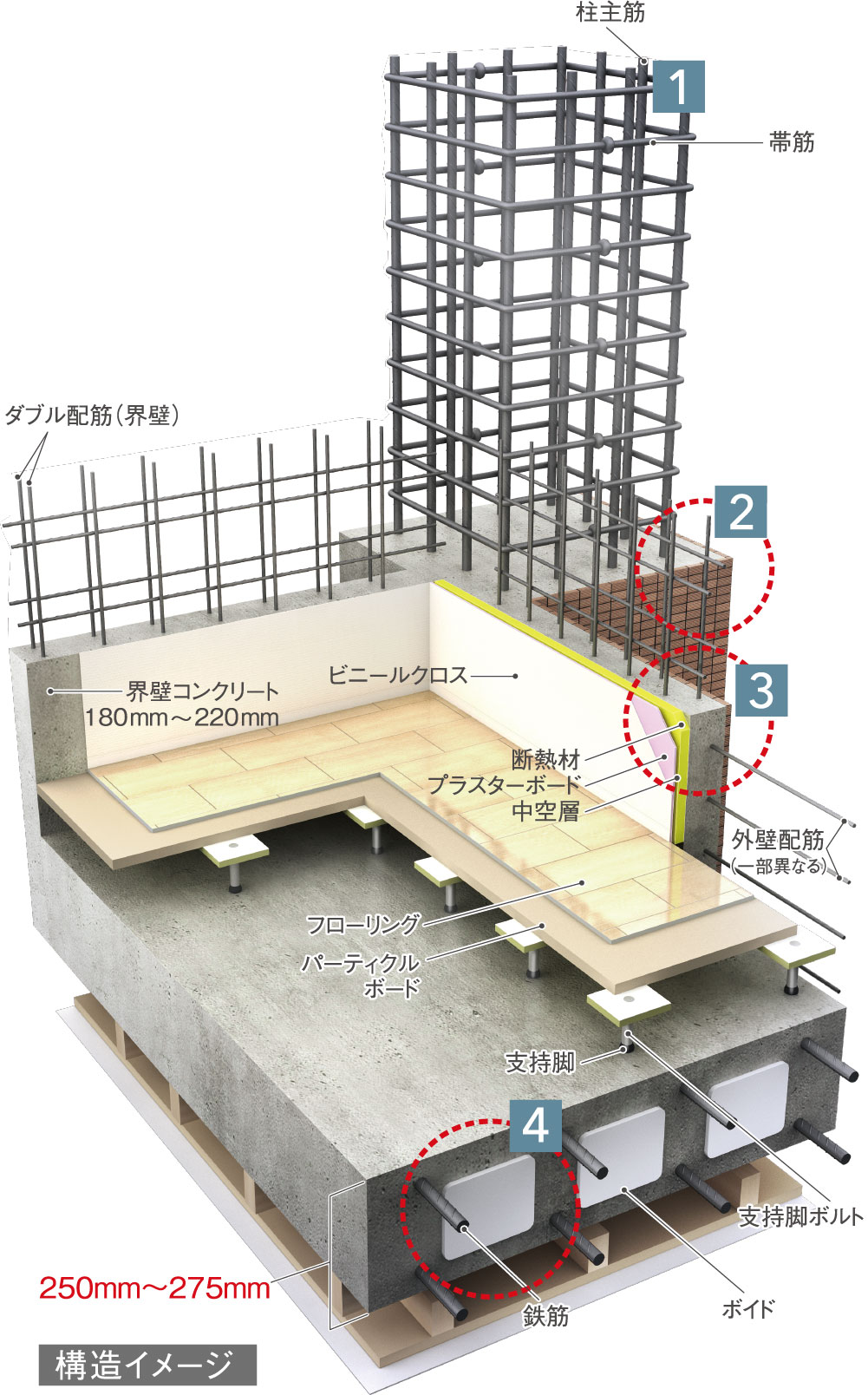 構造イメージ