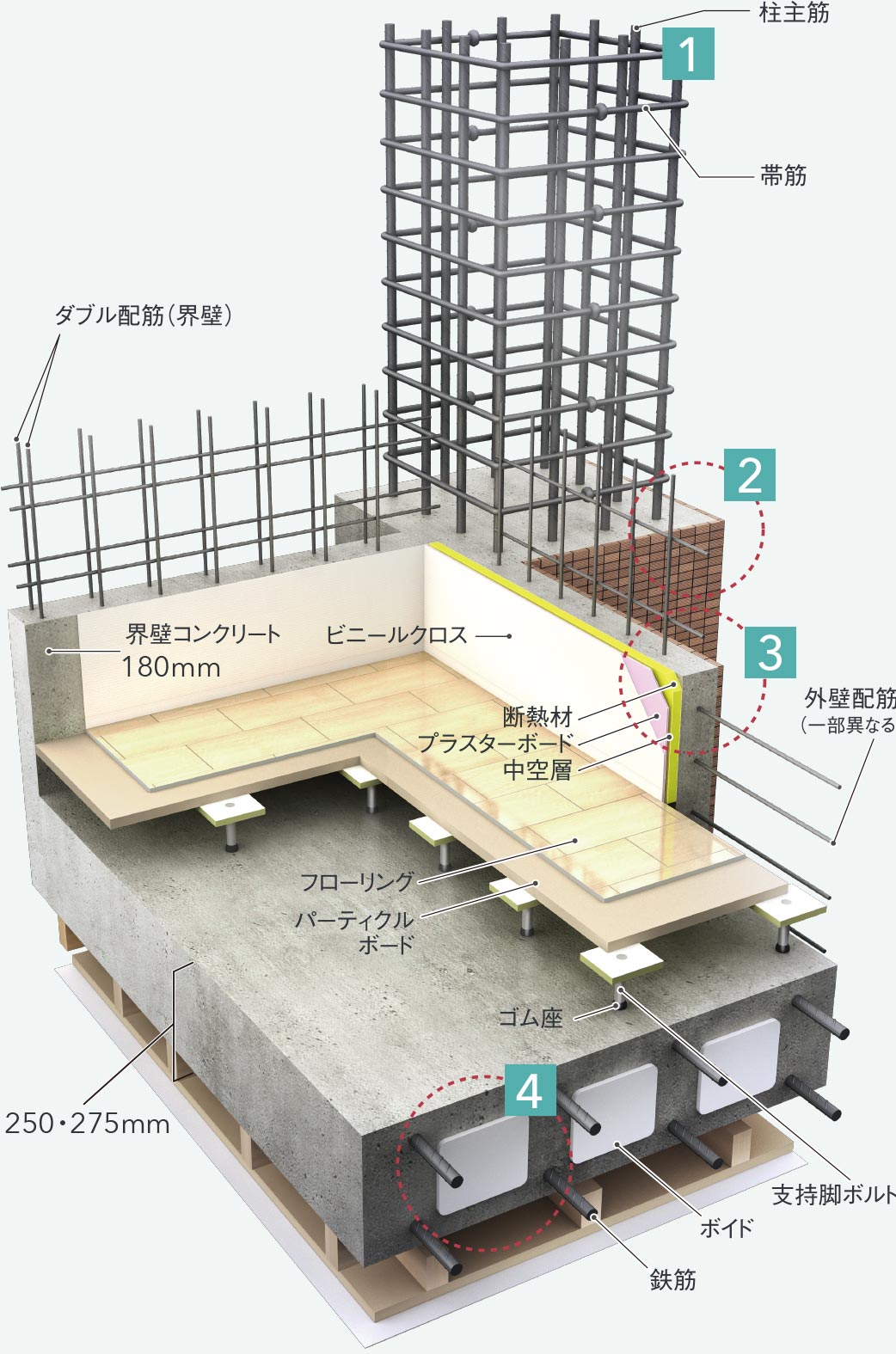 構造イメージ