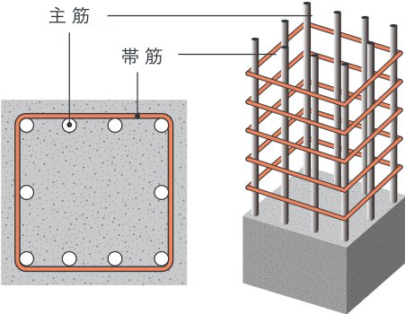 主筋の座屈を防止する帯筋<