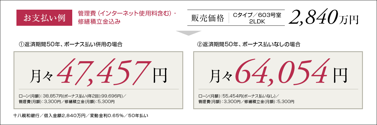 Cタイプ支払い例