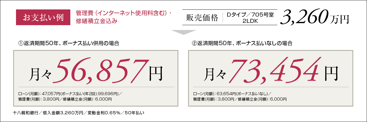 Dタイプ支払い例